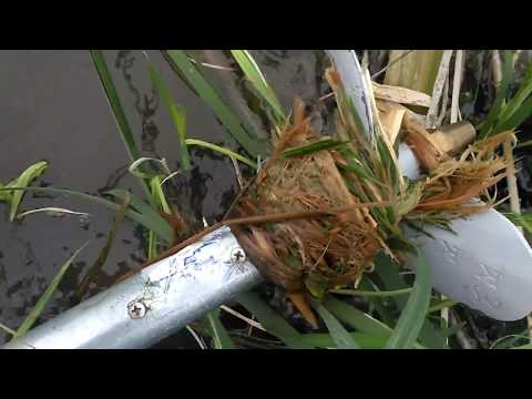 Наматывание травы на винт болотохода Long Tail KKK. Что делать?