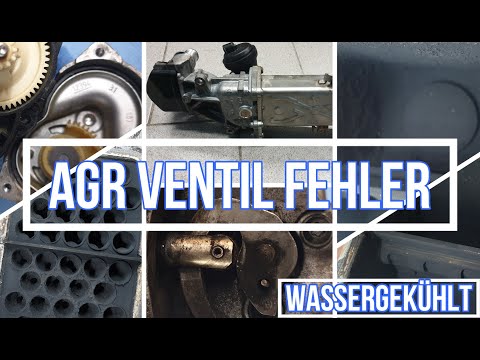 AGR Ventil 2.0 TDI , Fehler Ursachen, AGR Ventil Aufbau, Funktion, (EGR fault causes, construction)