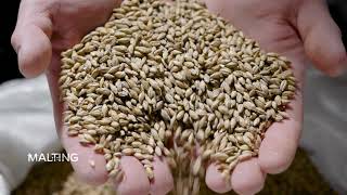 SERA - The agro-industry process specialist