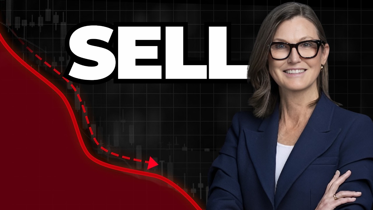 PLTR Don't Say I Didn't Warn You