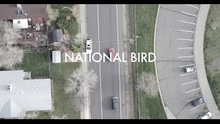 Sole &amp; DJ Pain 1 &quot;National Bird&quot;