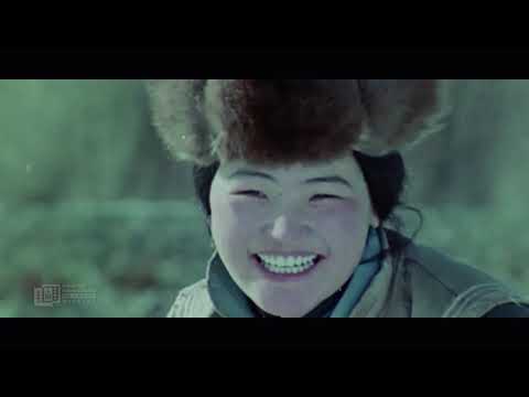 Гарьд магнай ая бичлэг