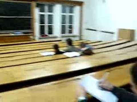 polibuda zmula konia