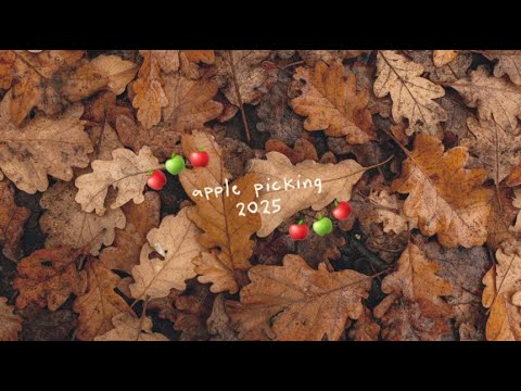 Apple picking 2025