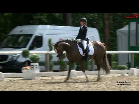 PAV TIMM THALER v. Talisman - Nico the Champ