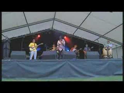 Andy Gunn and Geno Washington - Dust My Broom - live at Belladrum Festival