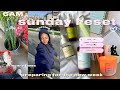 SUNDAY RESET VLOG 🌷 | 6 am to-do list day, starting a podcast, flower refresh + more!