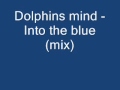 Dolphins mind into the blue 