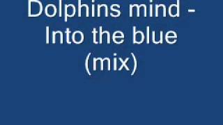 Dolphins mind   into the blue