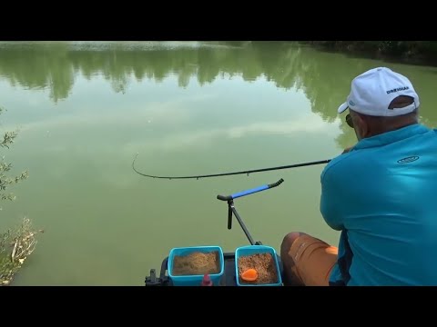 METHOD FEEDEROM NA ŠARANE (OZALJSKE ŠLJUNČARE) -  Ninoslav Žagar