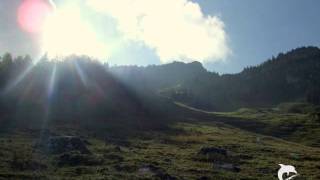 Molly Nilsson - A Song They Won&#39;t Be Playing On The Radio