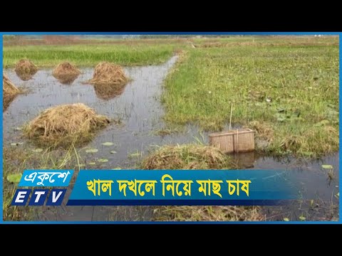 খাল দখলে নিয়ে মাছ চাষ করছেন প্রভাবশালীরা