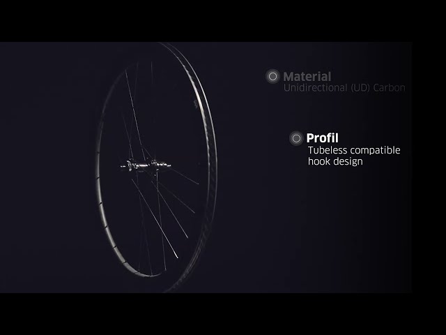 Newmen Advanced SL R.38 Streem Carbon SRAM XDR Rear Wheel Road