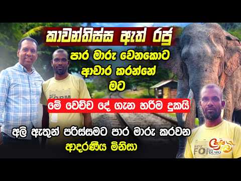 කාවන්තිස්ස ඇත් රජු පාර මාරු වෙනකොට ආචාර කරන්නේ මට - අලි ඇතුන් පරිස්සමට පාර මාරු කරවන ආදරණීය මිනිසා