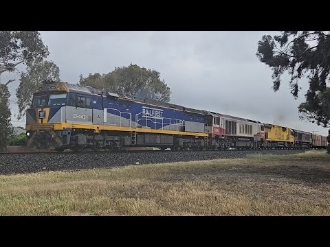 1PM9 SCT up "Dark Ghost" (CF CSR ACD CSR), Forrestfield to Laverton, 1620, 22/10/25, Horsham VIC 