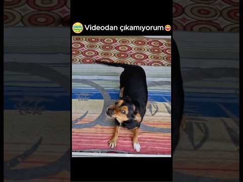videodan çıkamıyorum 😂 @patii.severler
