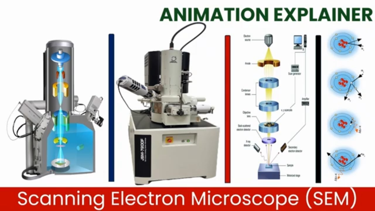 Scanning Electron Microscope (SEM) Explained with 3D Animation 2026
