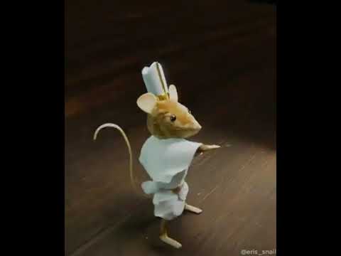 Dorime Cumbia (Oi nomas ese cumbion)