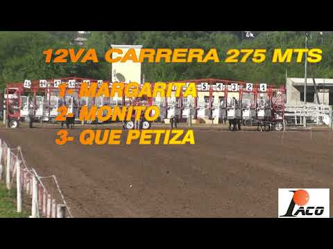 MARGARITA HIPODROMO DON SOHAR CRUZ DEL EJE 27 3 2022