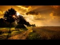 Chill Music - Learning To Fly