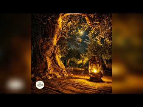 One Hour in the Dark