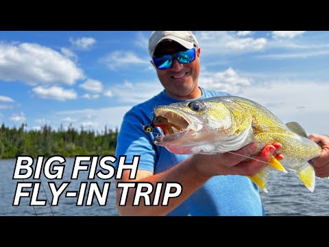Cochrane Air Walleye Fishing. EDGAR LAKE Ontario. DAY 2