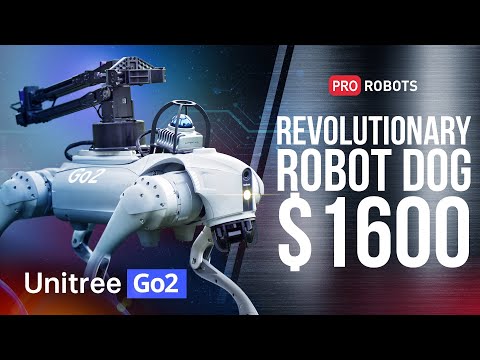 Introducing Unitree Go2 - Quadruped Robot of Embodied AI from $1600 | Pro Robots