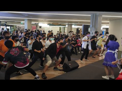 Ignite - Koneko cover Necopla @ Iconic Idol Fest Stage 7