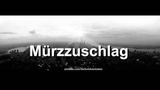 How to pronounce Mürzzuschlag in German