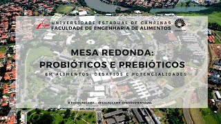 CONEXÃO FEA - Mesa Redonda online - Probióticos e Prebióticos - Desafios e Potencialidades