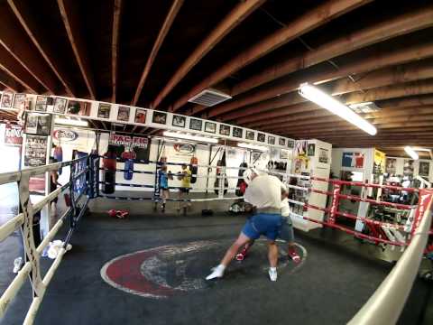 Heavyweight Sparring