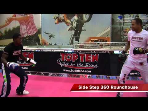 Jamal Albini: Attack and Defense Techniques