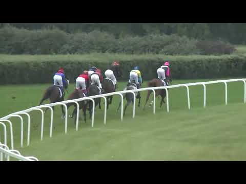 2022.09.25. 08. futam - SEPERATE OPINION DÍJ (II.kat.)