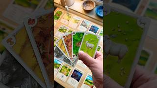 I will NEVER play OG Catan again! 🧱🪨🐑🌾🪵 #boardgame #tabletopgames #gamenight
