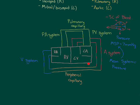 Valvular Heart Disease Part 1
