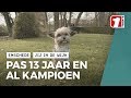 Woezel en Maureen zijn kampioenen