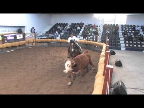 Saramago do Infinito - Pexada 10 em Bagé