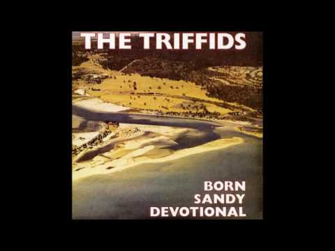 The Triffids - Life of Crime [HD]