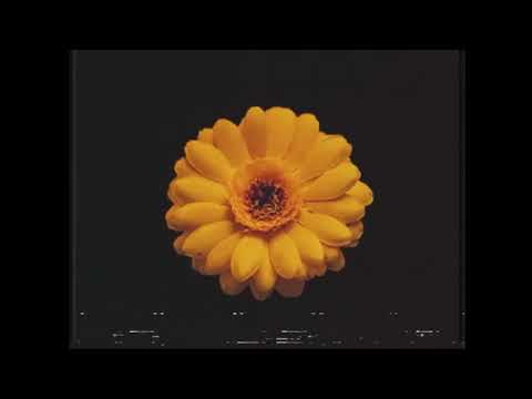 Remaining Flower