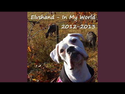 Den Svenska Sommaren