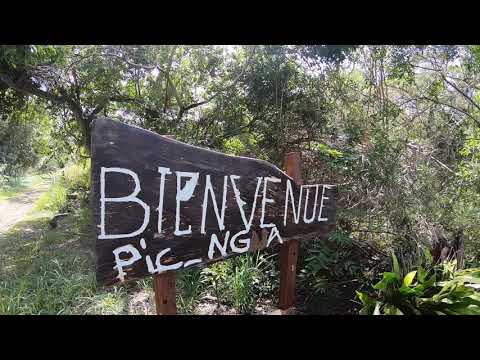 L’île des pins : Jour 4