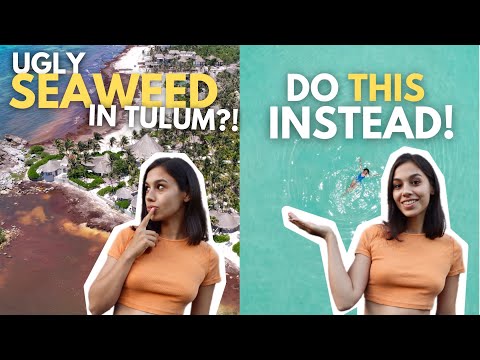 HOW TO TRAVEL MEXICO | Things To Do In Yucatan Outside Cancun & Tulum!