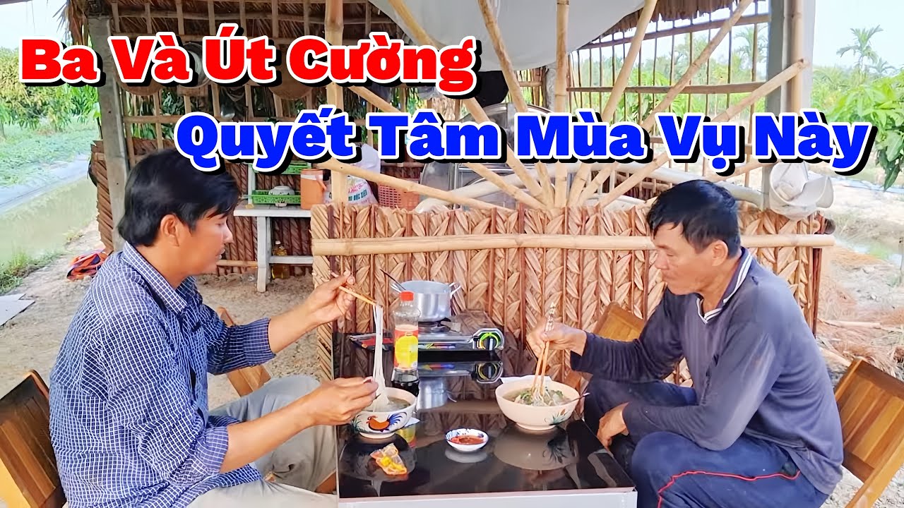 Tranh Thủ Buổi Sáng Ba Và Út Cường Ra Đồng Sớm Làm Cho Xong Việc Quan Trọng Quyết Tâm Mùa Vụ Này 