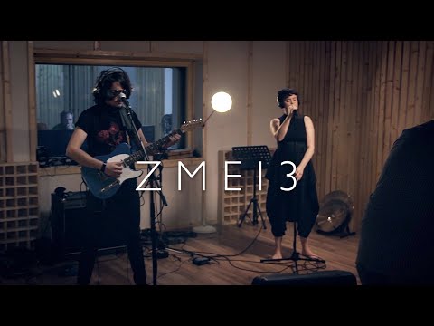 ZMEI3 -  Tu Ești Eu