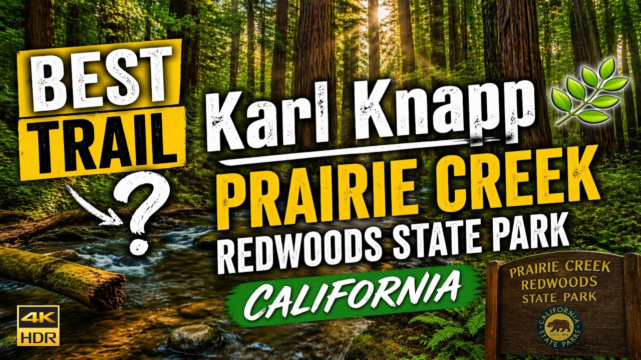 Karl Knapp 🌿 | Prairie Creek Redwoods State Park California 4K 60 FPS