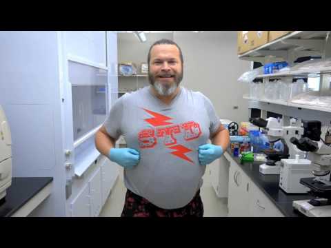 STD Smackdown - Customer Success Story