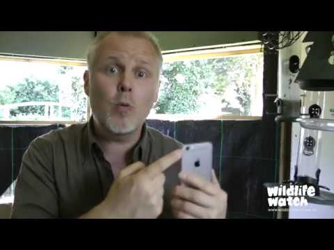Wildlife Gadget Man's Top 3 smartphone gadgets