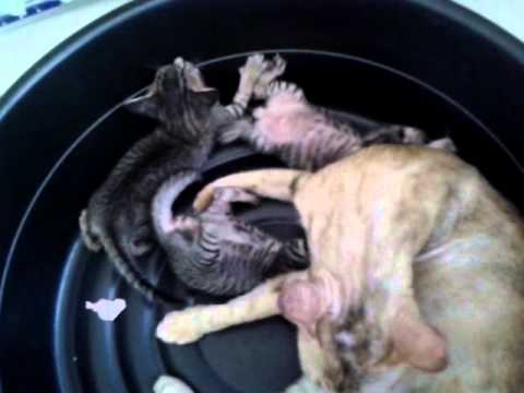 video-2012-04-26-08-07-43