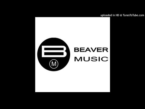 You're In Danger (Extended Vrs) / The Flippers