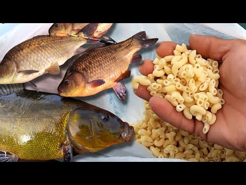 MAKARON na LINA KARASIA i DUŻEGO LESZCZA !!! Mój sposób przygotowania !!!